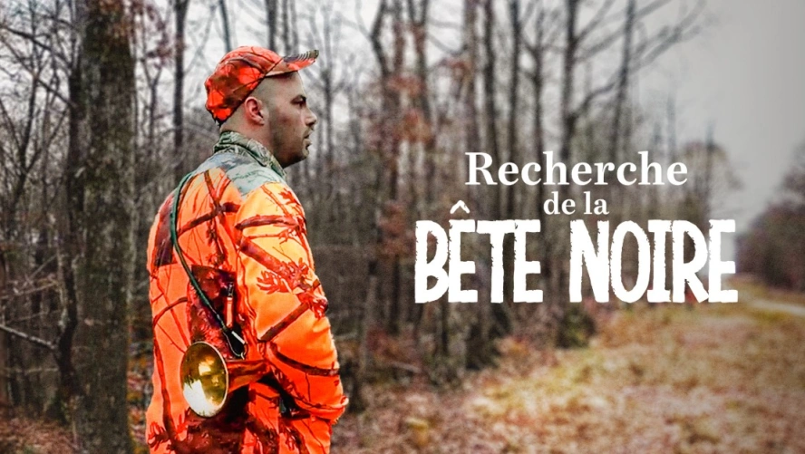 Recherche de la bête noire