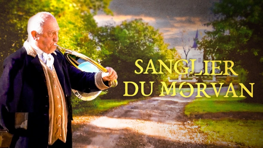 Sangliers du Morvan