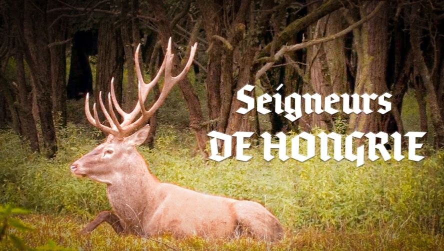 Seigneurs de Hongrie