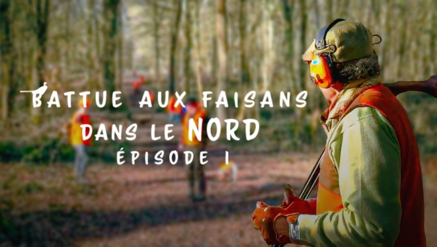 Battue aux faisans dans le nord (épisode 1)