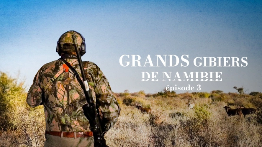 Grands gibiers de Namibie (épisode 3)