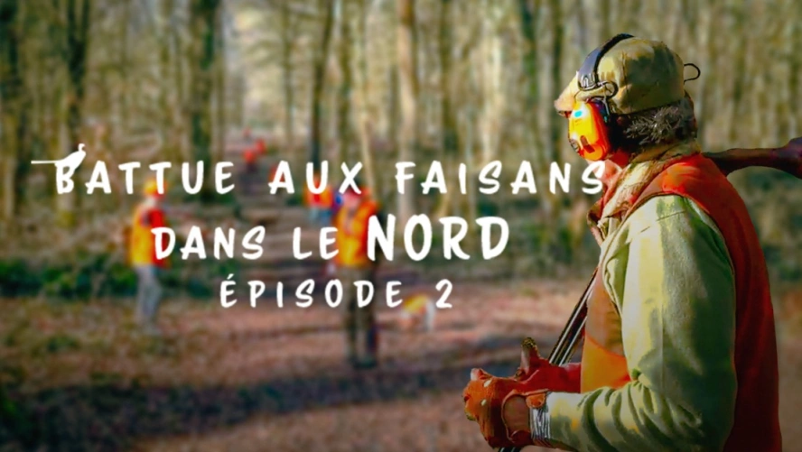 Battue aux faisans dans le nord (épisode 2)