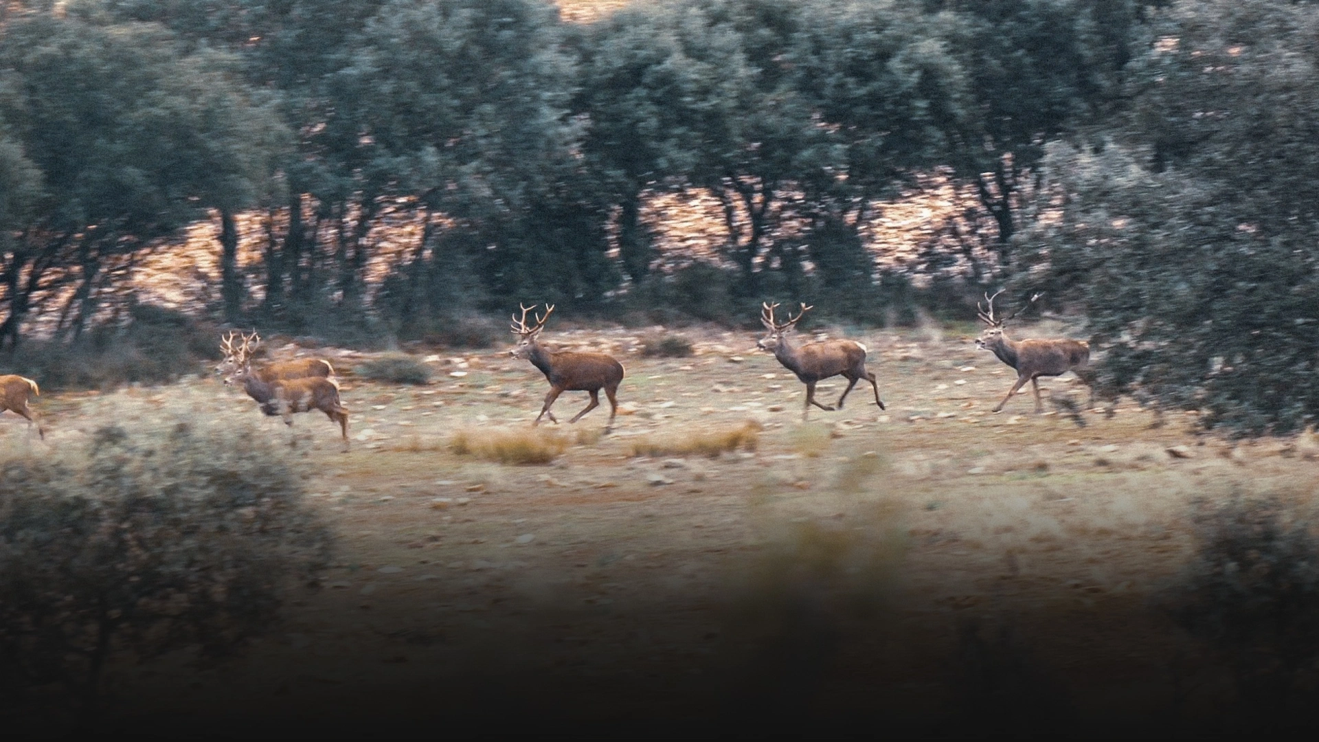 Espagne avec Passion & Emotion (épisode 4)