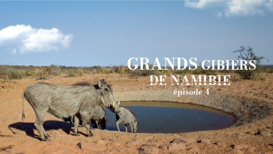 Grands gibiers de Namibie (épisode 4)