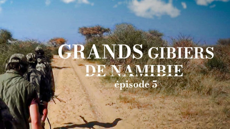 Grands gibiers de Namibie (épisode 5)