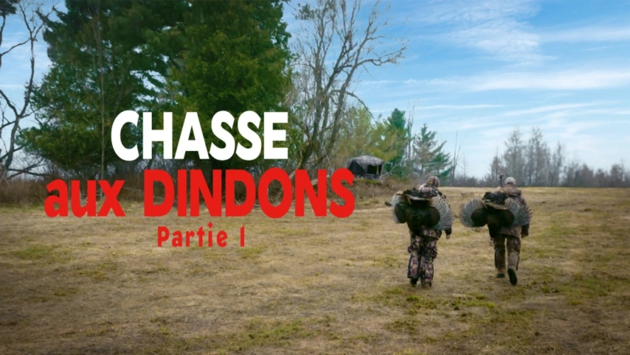 Chasse aux dindons Partie 1