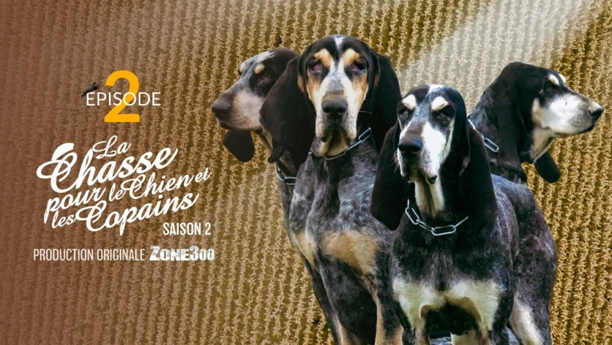 La Chasse pour le Chien et les Copains : La mélodie des Chiens et des Hommes (Saison 2 Épisode 2)