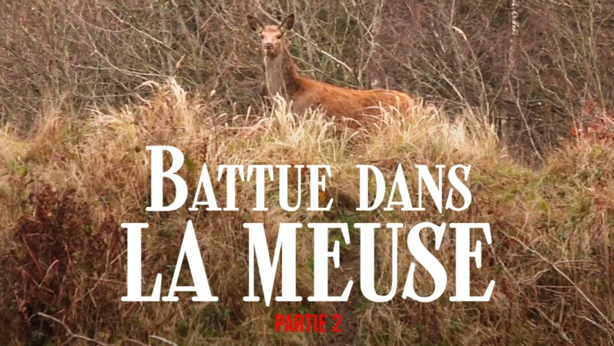 Battue dans la Meuse Partie 2