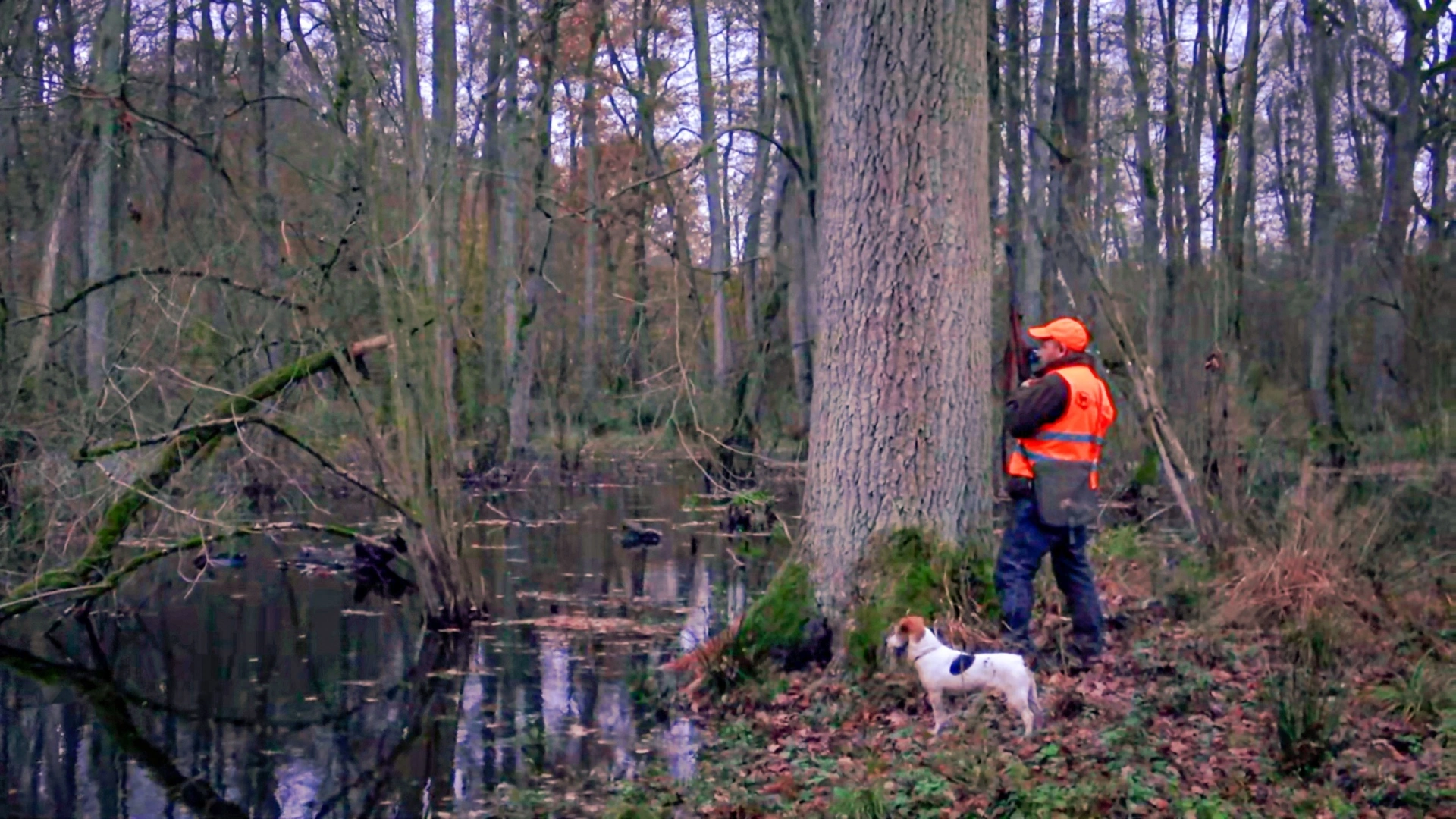 Petites Battues en Pologne  (épisode 3)