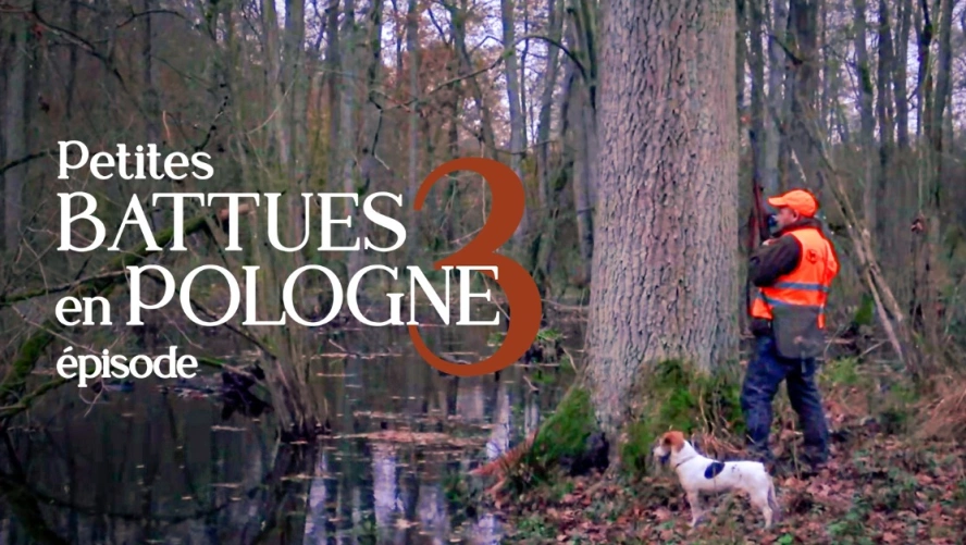 Petites Battues en Pologne  (épisode 3)