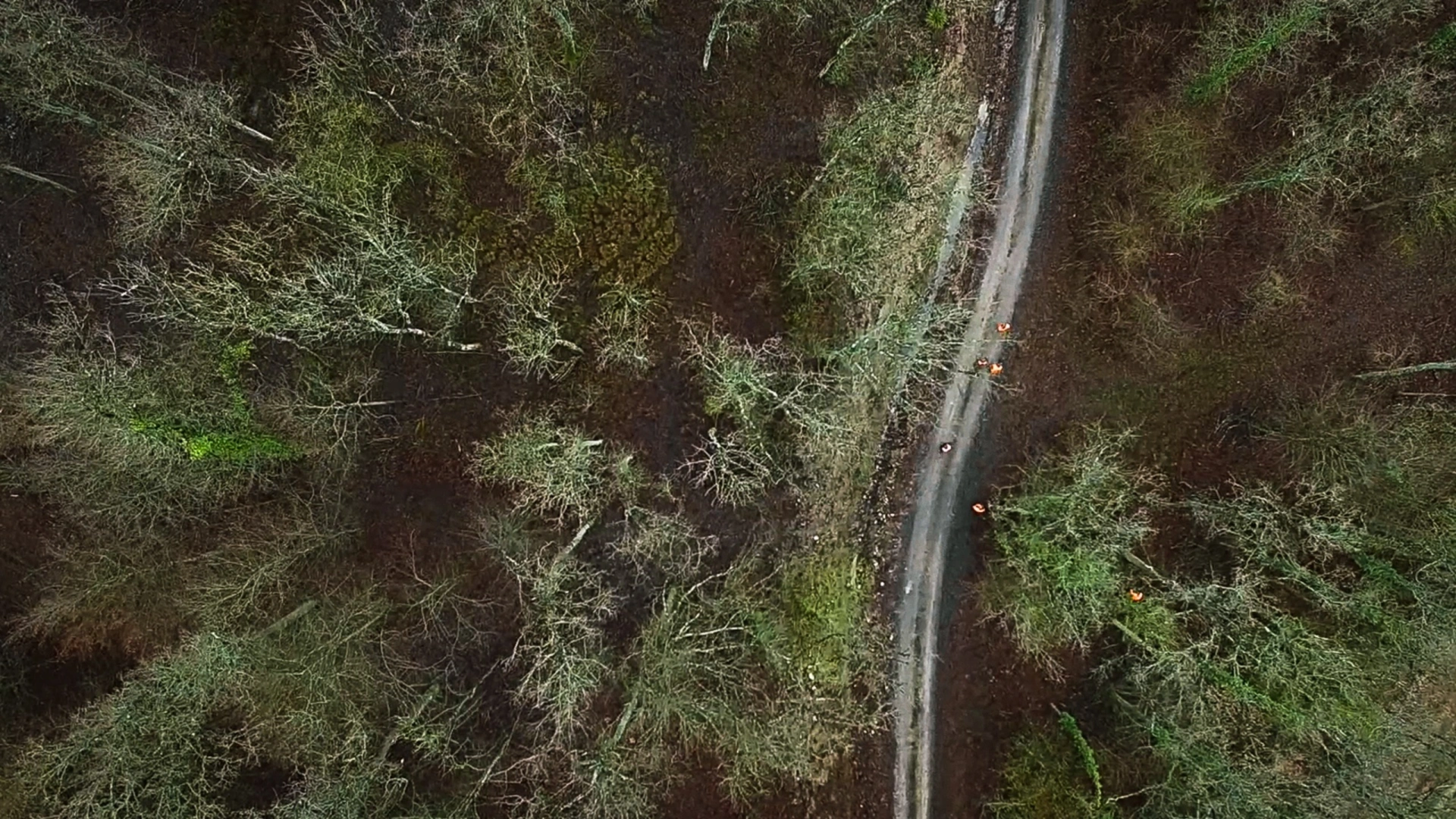 Battue dans la Meuse Partie 3