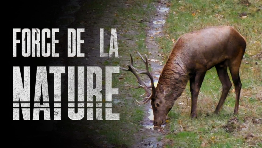 Force de la nature