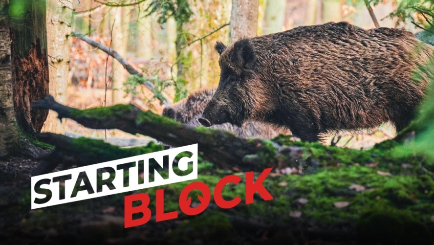 Starting-Block
