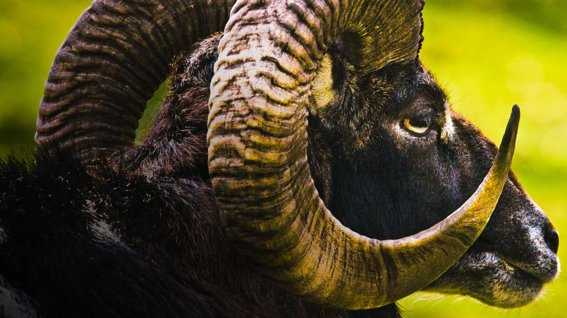 Sierra Morena - Jour 1