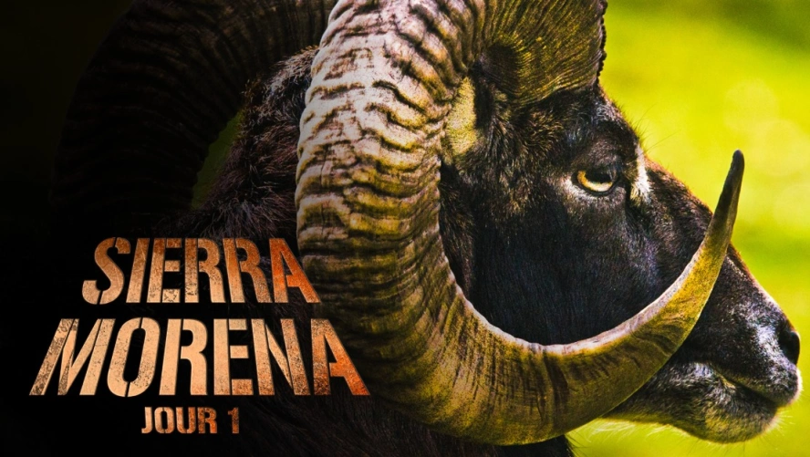 Sierra Morena - Jour 1