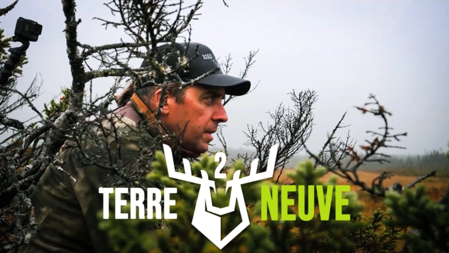 Terre-Neuve 2