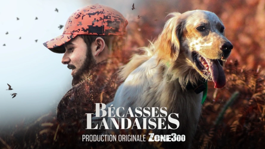 Bécasses Landaises