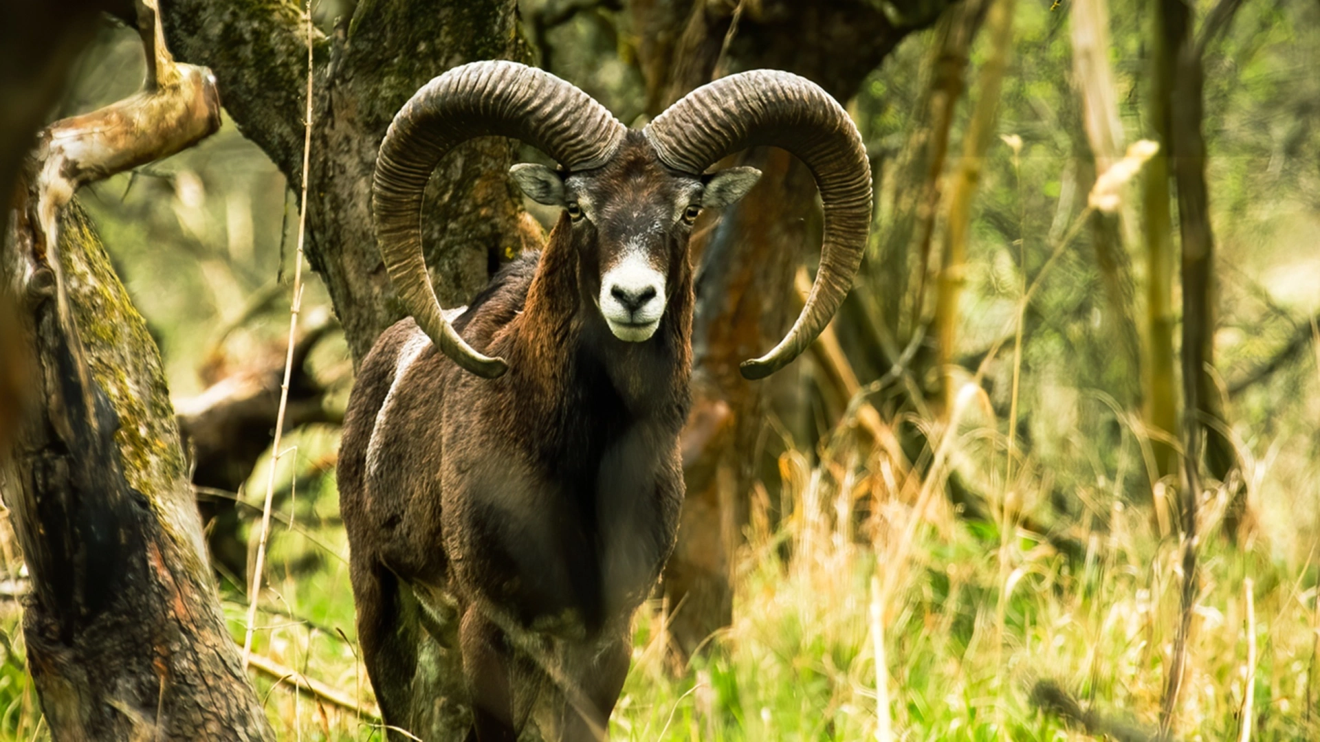 Sierra Morena - Jour 4