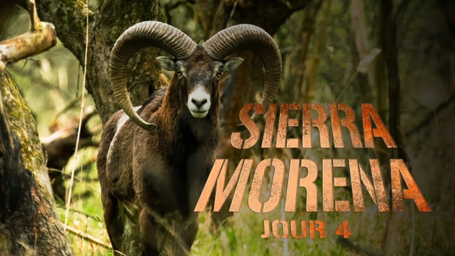 Sierra Morena - Jour 4