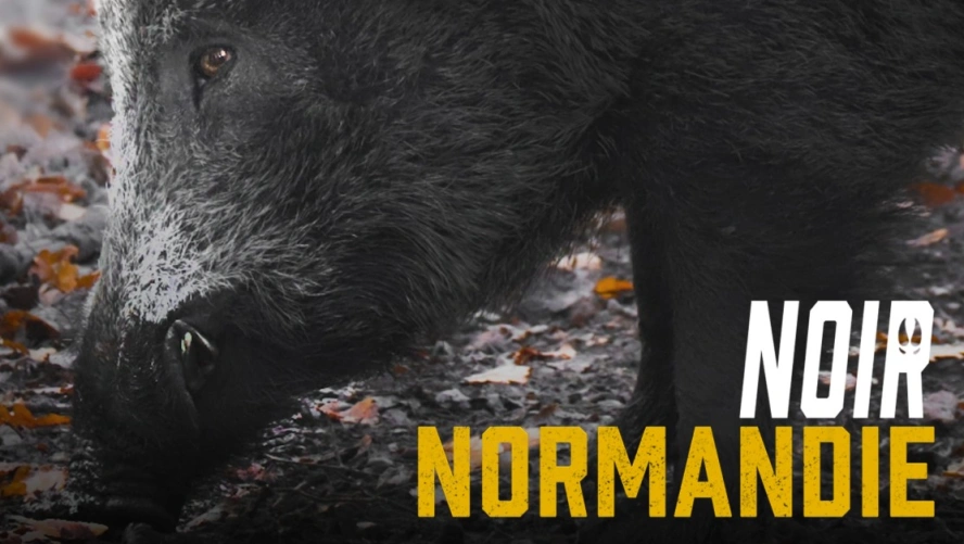 Noir Normandie