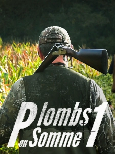Plombs en Somme 1