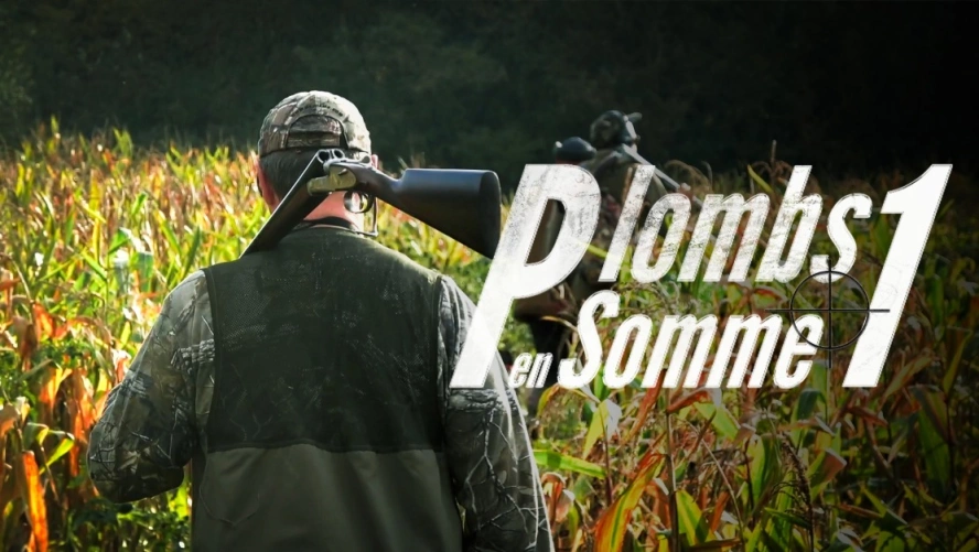 Plombs en Somme 1