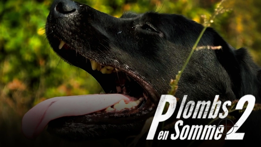 Plombs en Somme 2