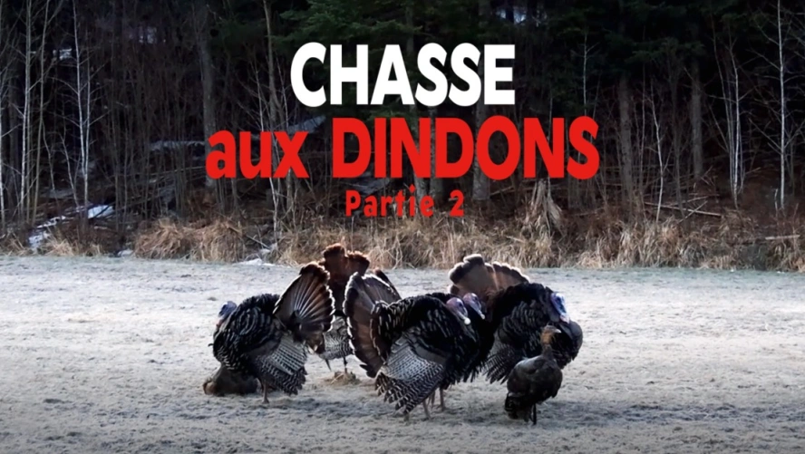 Chasse aux dindons Partie 2