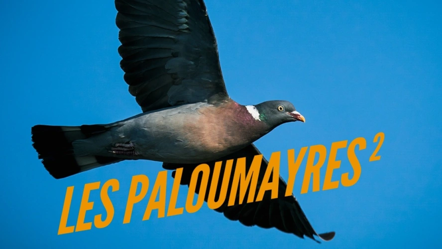 Les paloumayres 2