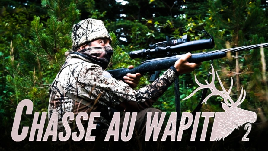 Chasse au wapiti 2