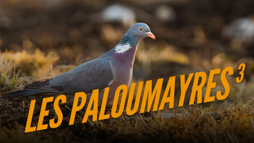 Les paloumayres 3