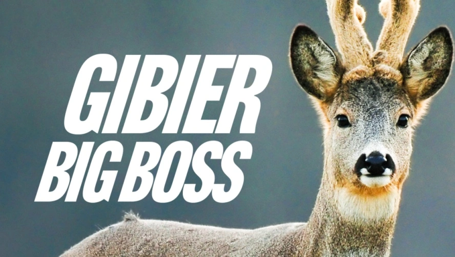 Gibier Big Boss