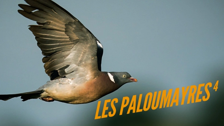 Les paloumayres 4