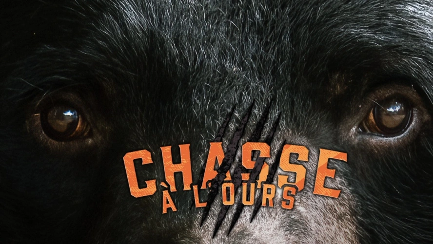 Chasse à l'ours