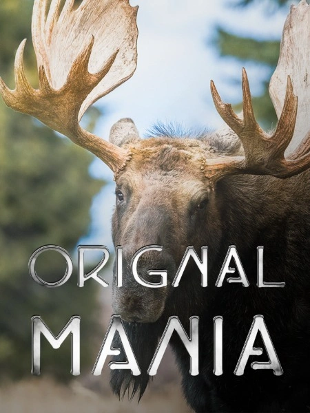 Orignal mania
