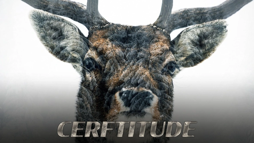 Cerftitude
