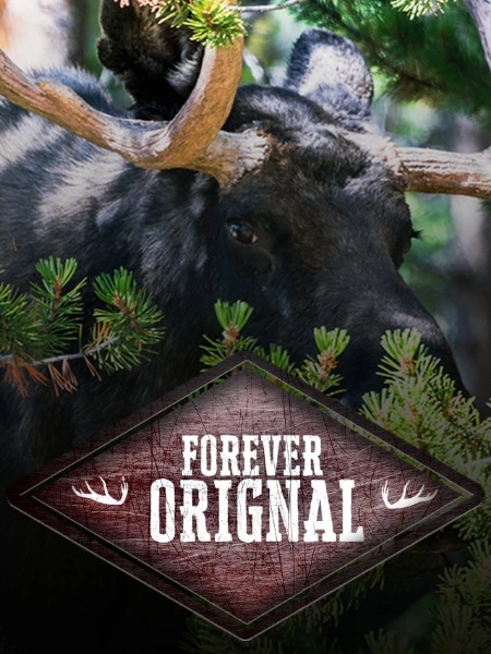 Forever orignal