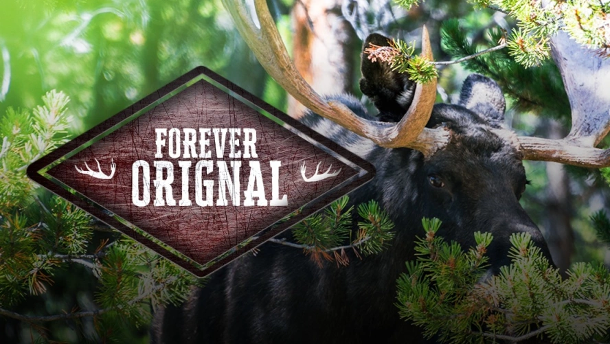 Forever orignal