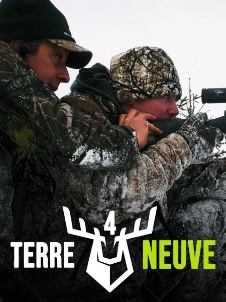 Terre-Neuve 4
