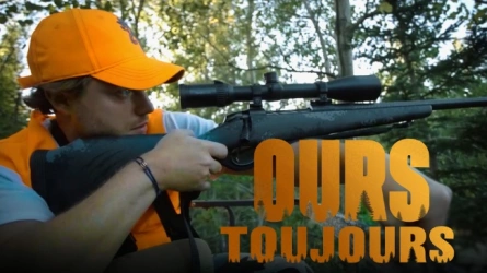 Ours toujours