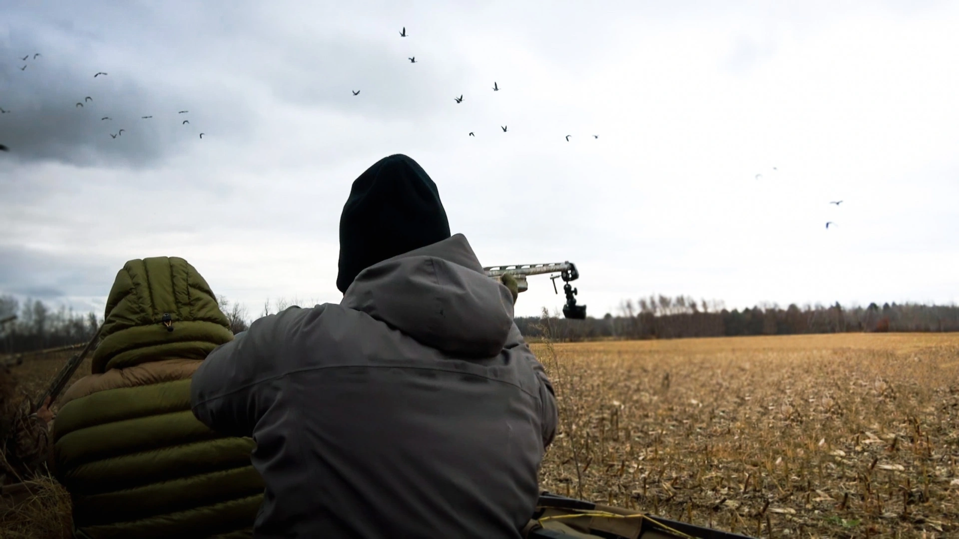 Bernaches des prairies