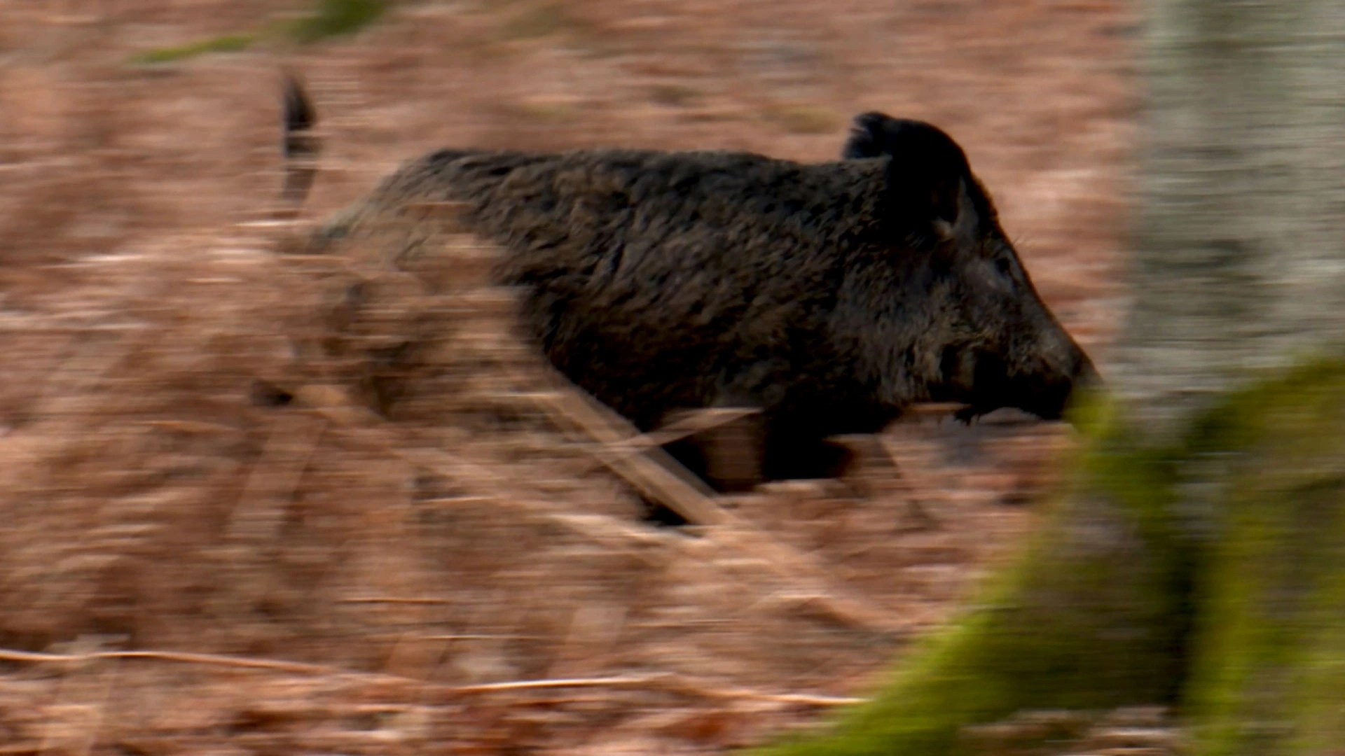 Drucken entre père et fils