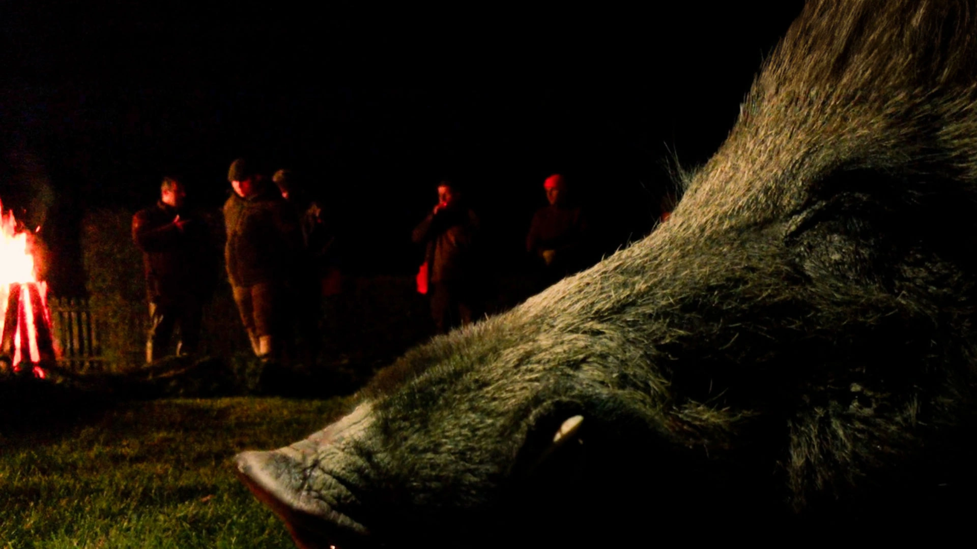 Battue aux grands gibiers en Hongrie 2