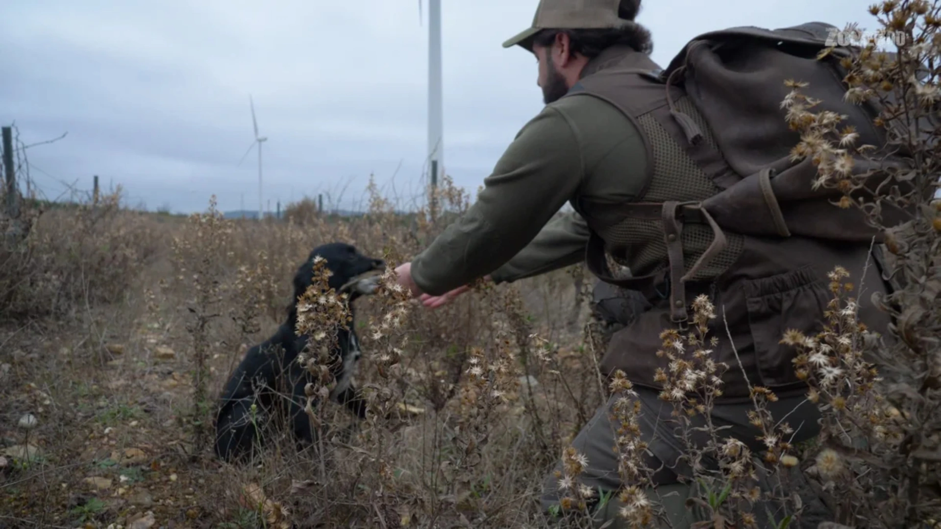 DÉCOUVERTE D'UNE PASSION : Migration hivernale (épisode 2)