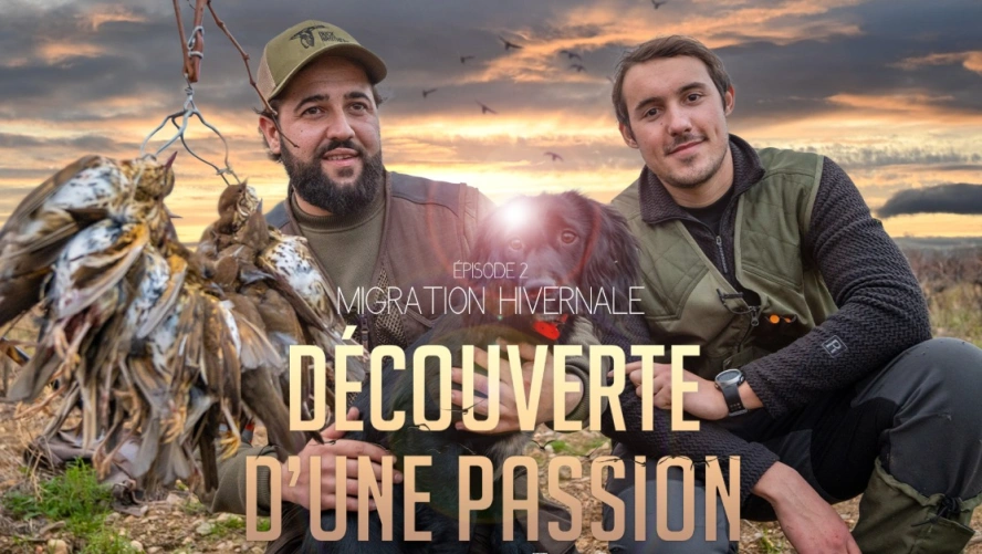 DÉCOUVERTE D'UNE PASSION : Migration hivernale (épisode 2)