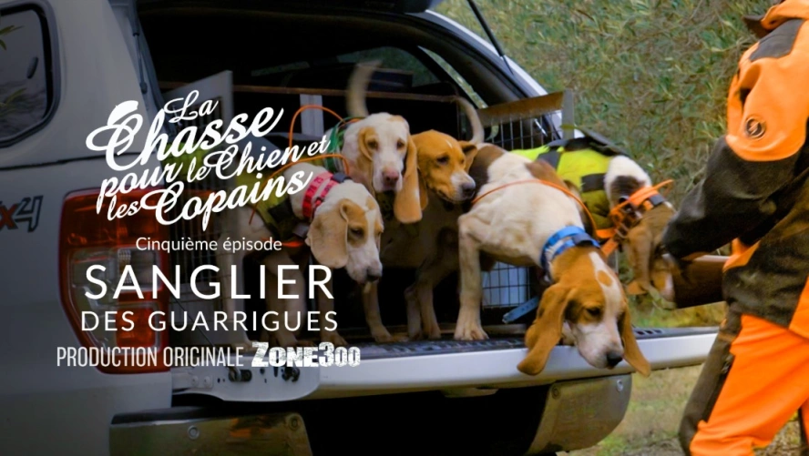 La Chasse pour le Chien et les Copains : Sanglier des Garrigues (épisode 5)