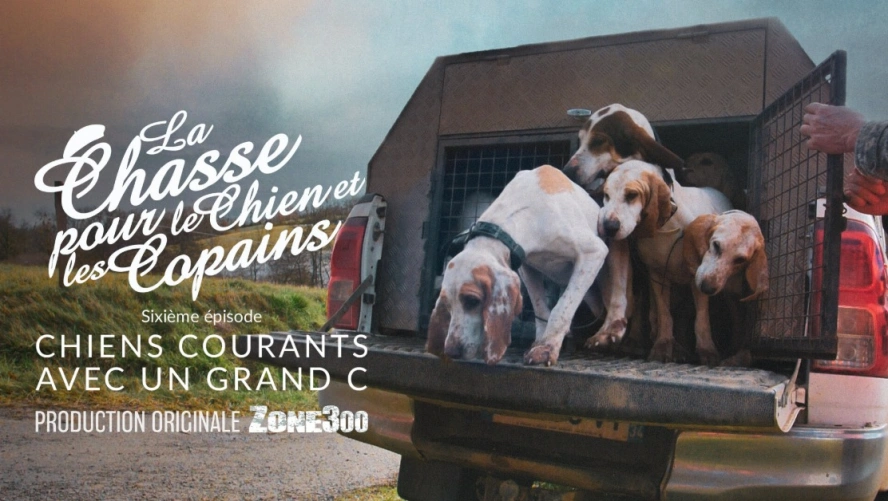 La Chasse pour le Chien et les Copains : Chiens courants avec un grand C (épisode 6)