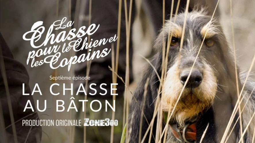 La Chasse pour le Chien et les Copains  : La chasse au bâton (épisode 7)