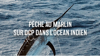 Pêche au marlin sur DCP dans l'Océan Indien