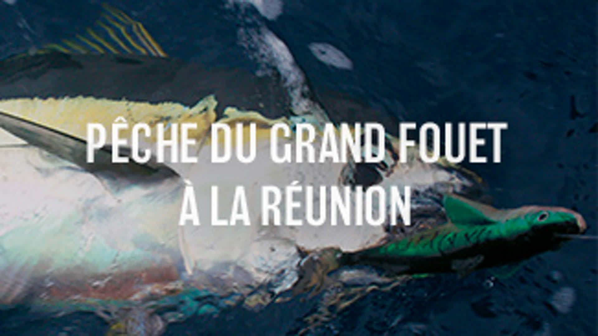 Pêche du grand fouet à la Réunion